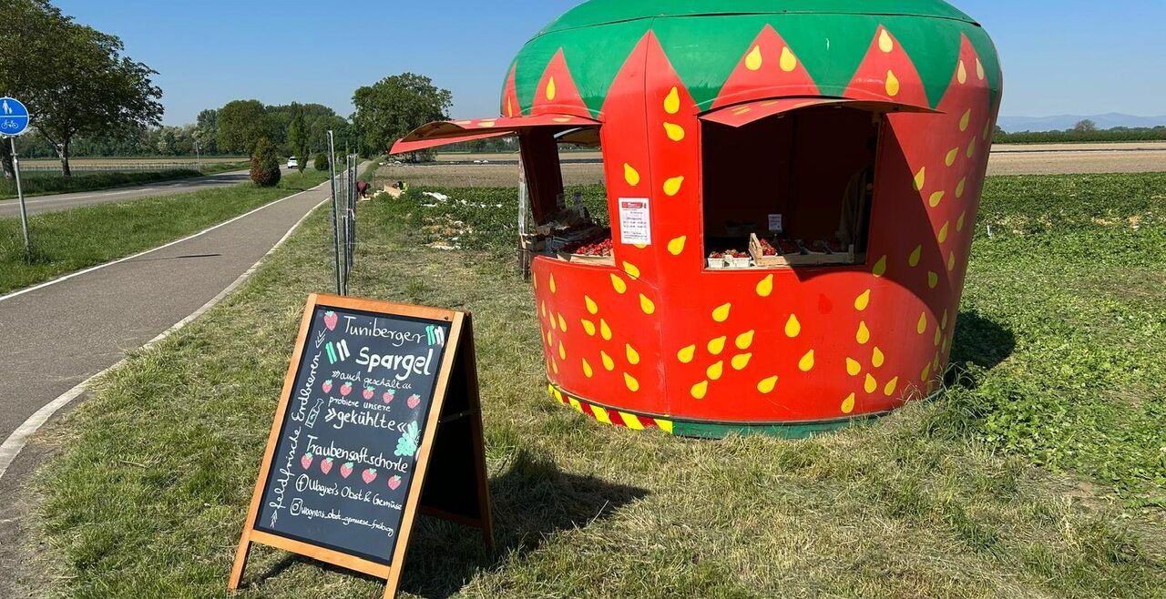 08ba974a-4db2-4eae-853e-dfd7381448ad