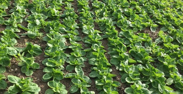 5a650e2c-3f58-43ab-8705-33bf1fc2e28814