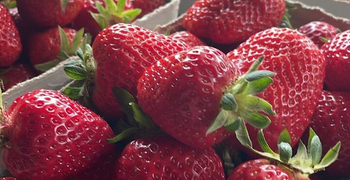 41e22fd6-a910-4ca7-aa80-14db1d1a9863