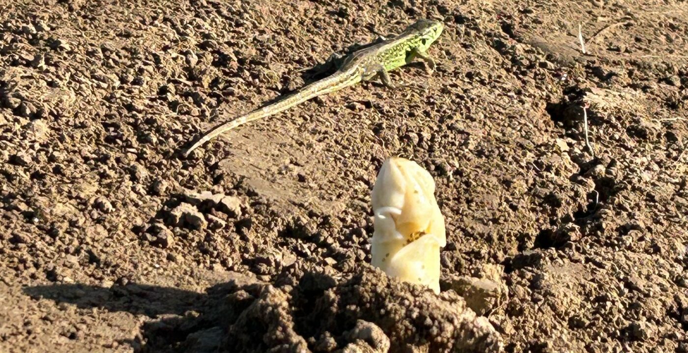 7993f850-d0ff-4692-9e1a-5aa8ccfe41f1